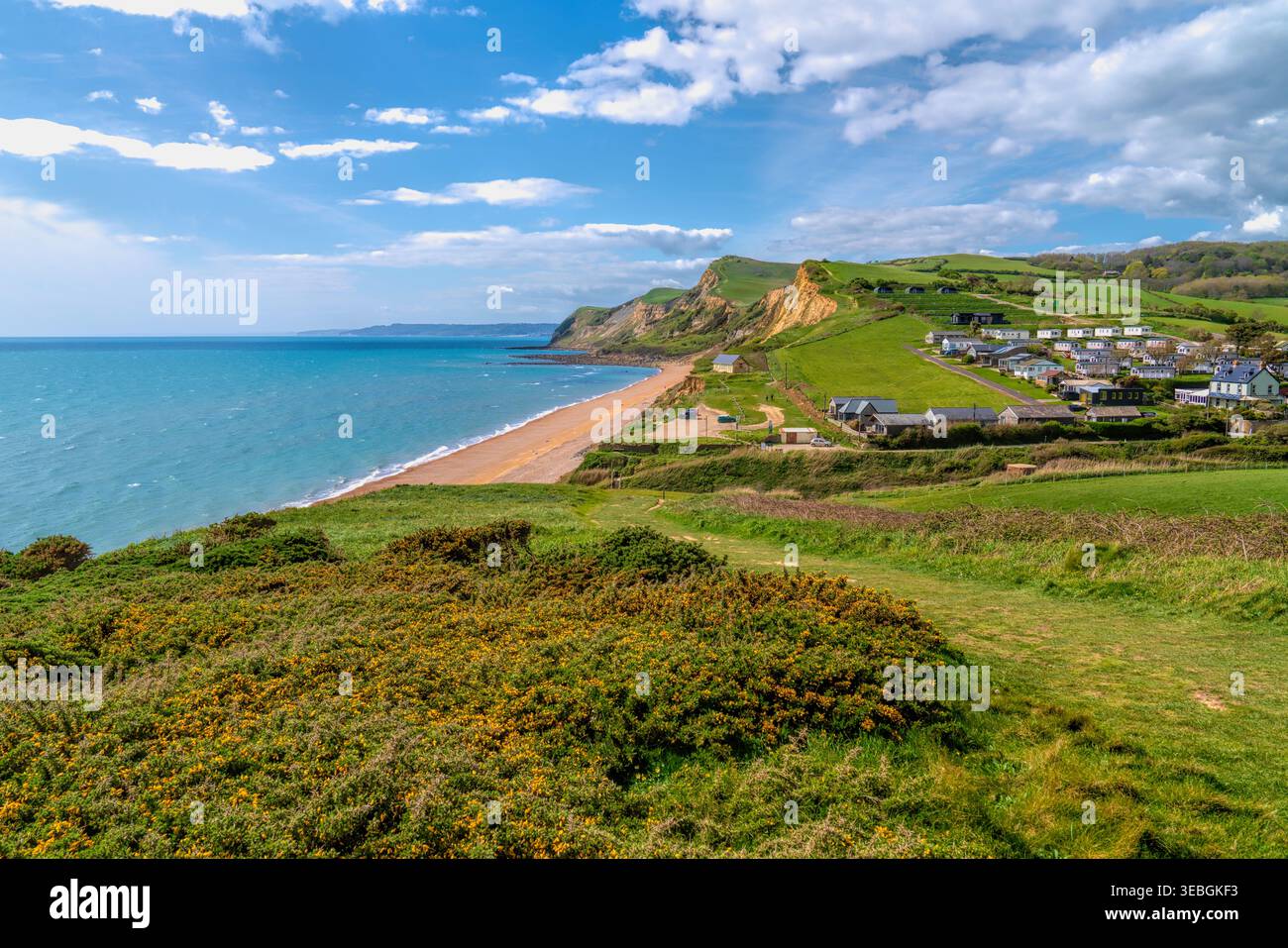 Farbenfrohe Wildblumen und Bluebells Eype Coast Path Dorset England in der Nähe von West Bay Stockfoto