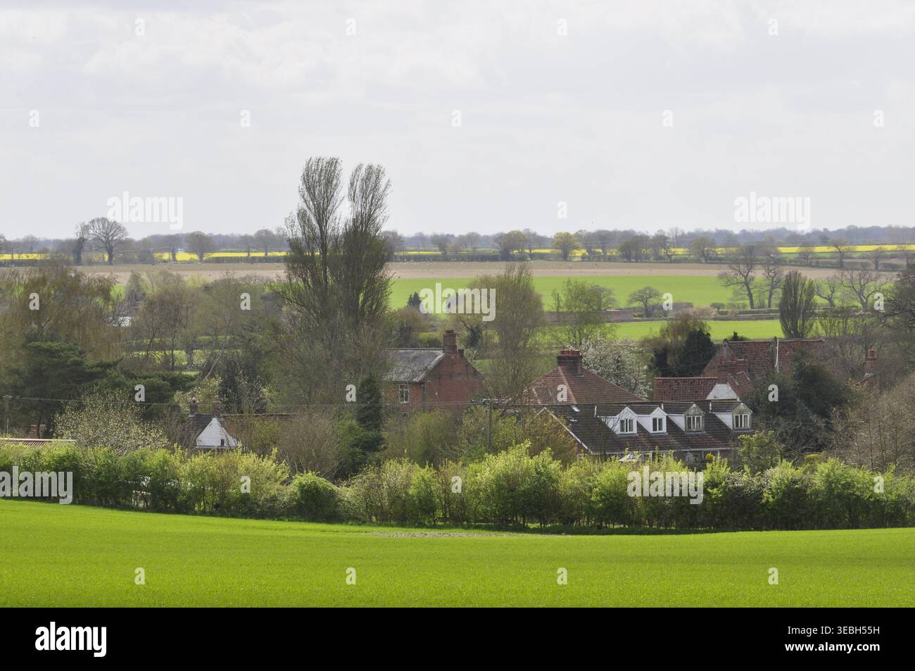 Little Barningham Norfolk England Stockfoto