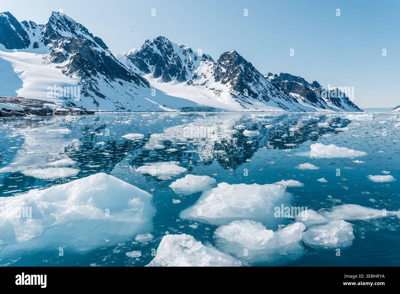 Svalbard, Svalbard und Jan Mayen - 24. April 2026: Blick auf Eisberge, die im ruhigen blauen Wasser eines Fjords schwimmen und schneebedeckte Berge reflektieren Stockfoto