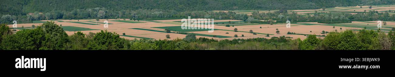 Ländliche Panoramalandschaft mit Ackerfeldern – grüner Wald und landwirtschaftliches Flickwerk Stockfoto