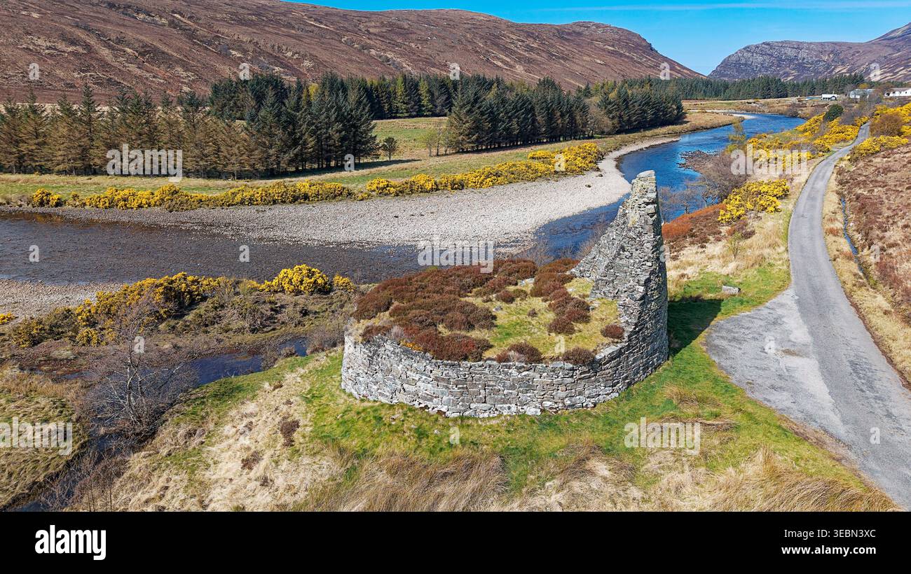 Broch Dun Dornaigil Strathmore Sutherland Schottland 2.000 Jahre altes Trockengestein-Roundhouse und gelbe Ginsterblüten im Frühling Stockfoto