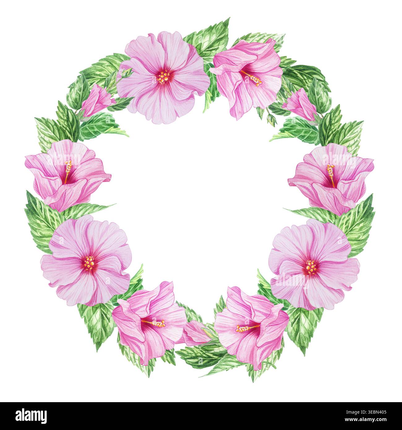 Wunderschöne rosafarbene Hibiskusblüten, Zweige und Knospen in einem Aquarellkranz. Handgezeichnete, tropisch blühende Pflanzen-ClipArt für botanische Designs im Sommer. R Stockfoto