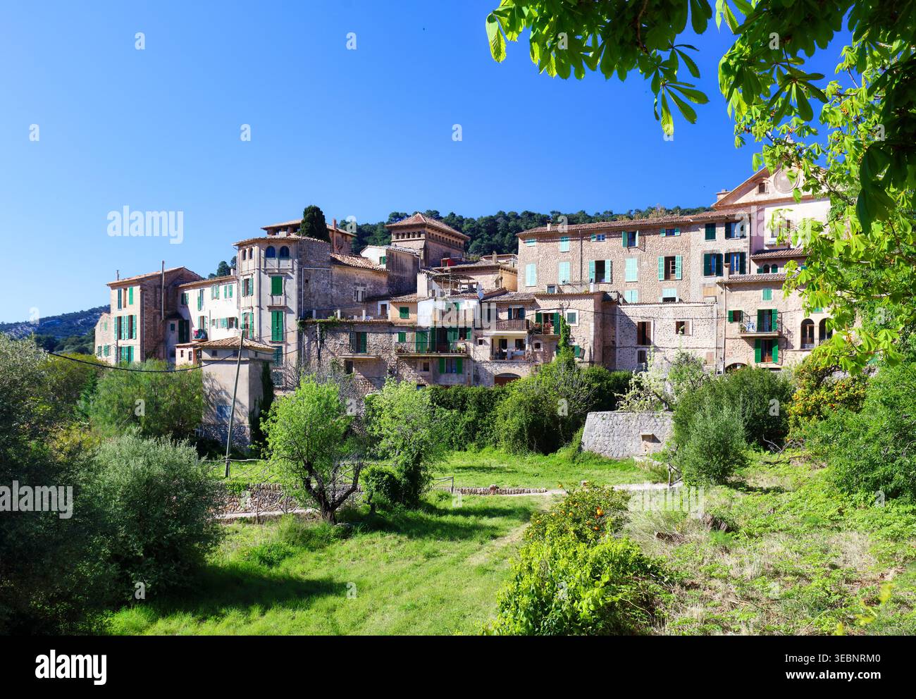 Altes Dorf Valldemossa auf Mallorca mit grünem Gras und Blättern Stockfoto