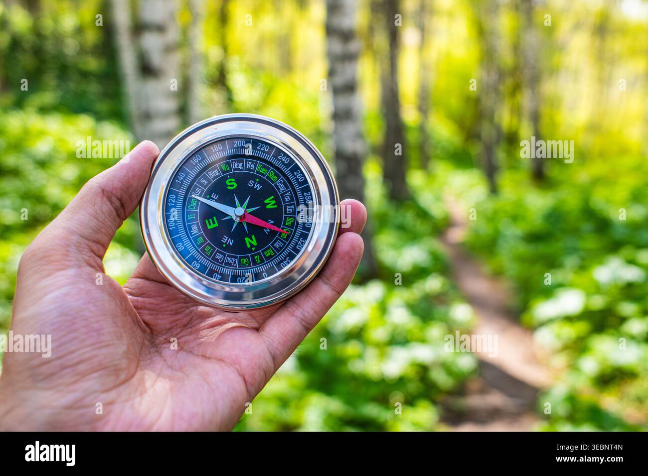 Hand mit rundem Magnetkompass in grünem, sonnigem Wald, Outdoor-Wanderungen und Abenteuer-Reisen Stockfoto