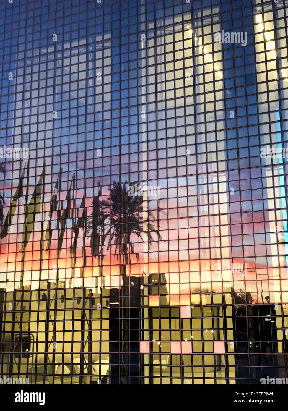 Modernes Gebäude mit Glasfenstern und Reflexion von Palm Tree Stockfoto