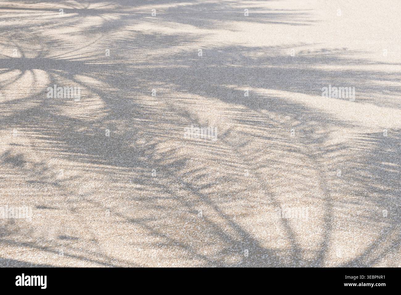 Tropischer Palmenschatten auf heller Steinoberfläche Stockfoto