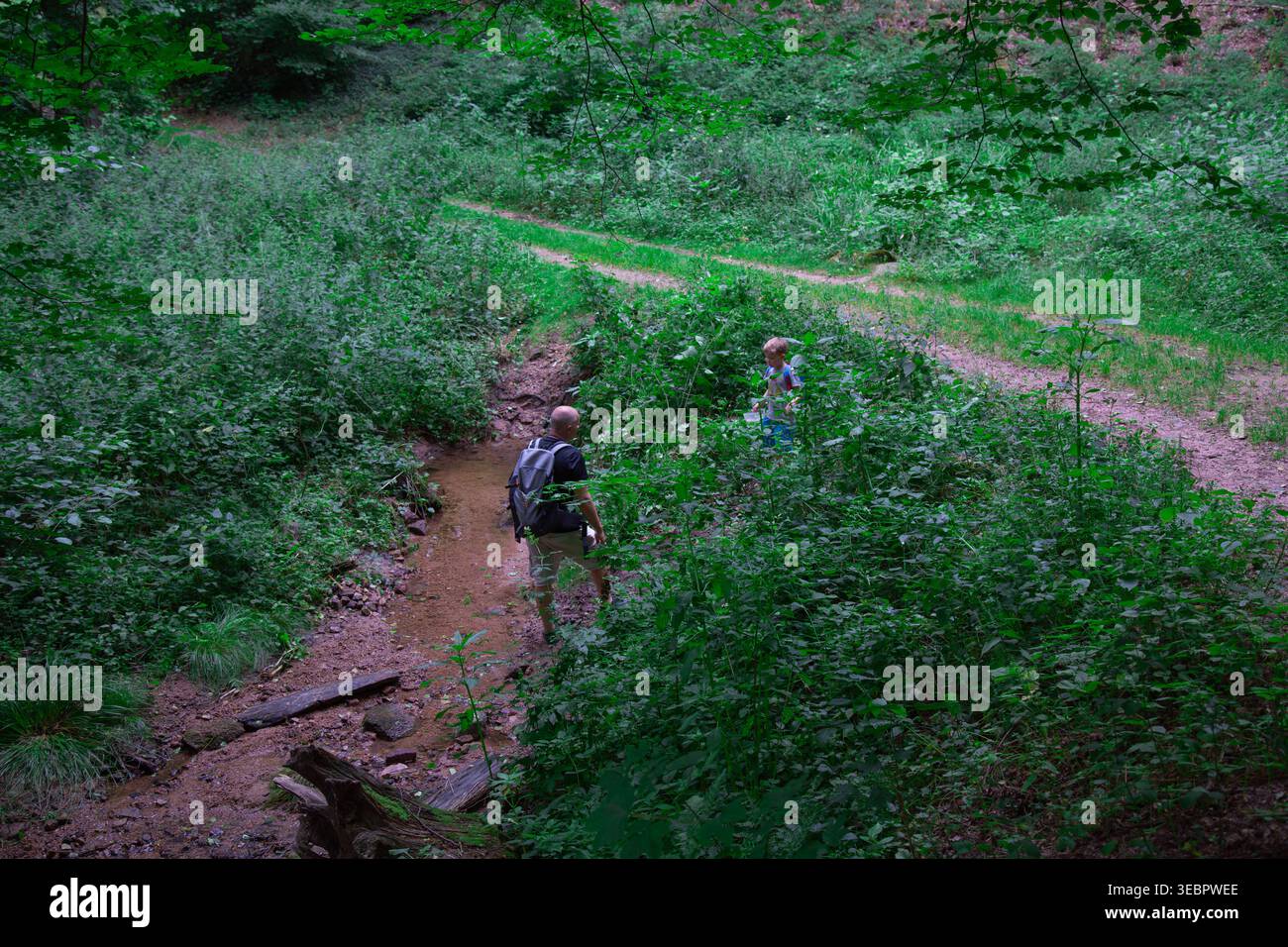 Dieses Bild zeigt einen Mann und ein Kind, die durch einen flachen Waldbach laufen, umgeben von dichter grüner Vegetation und natürlichem Gelände. Die Szenenaufnahme Stockfoto
