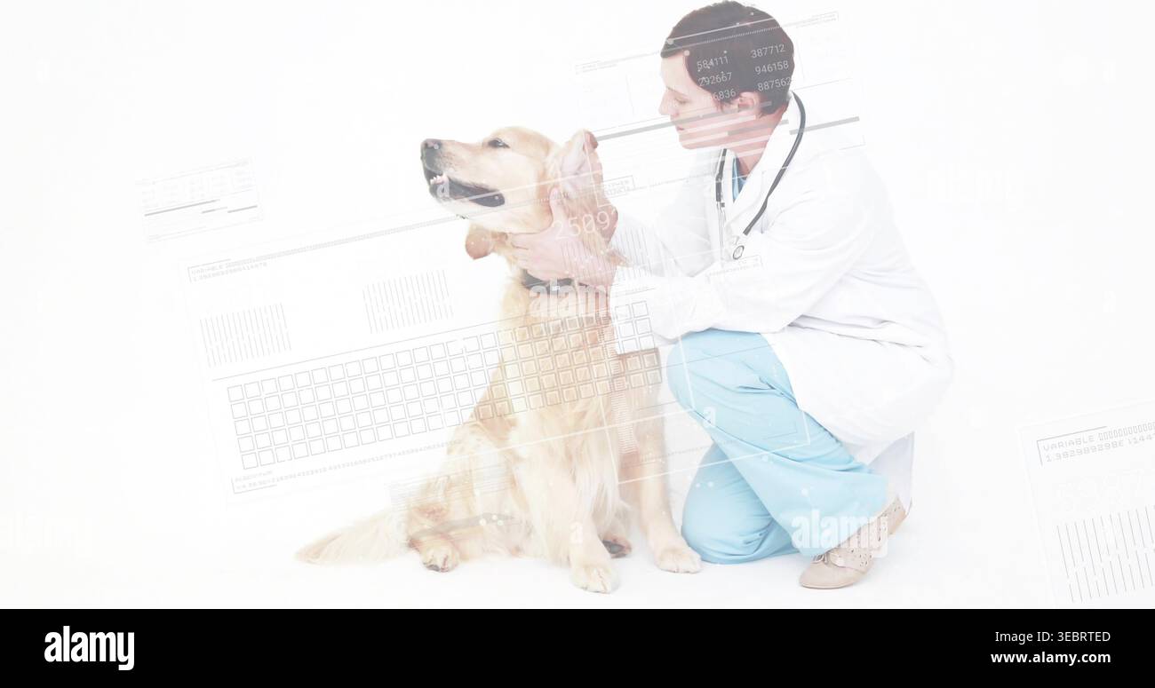 Untersuchungsarzt mit goldenem Retriever-Kopf vor weißem Hintergrund, weißem Mantel und Stethoskop Stockfoto