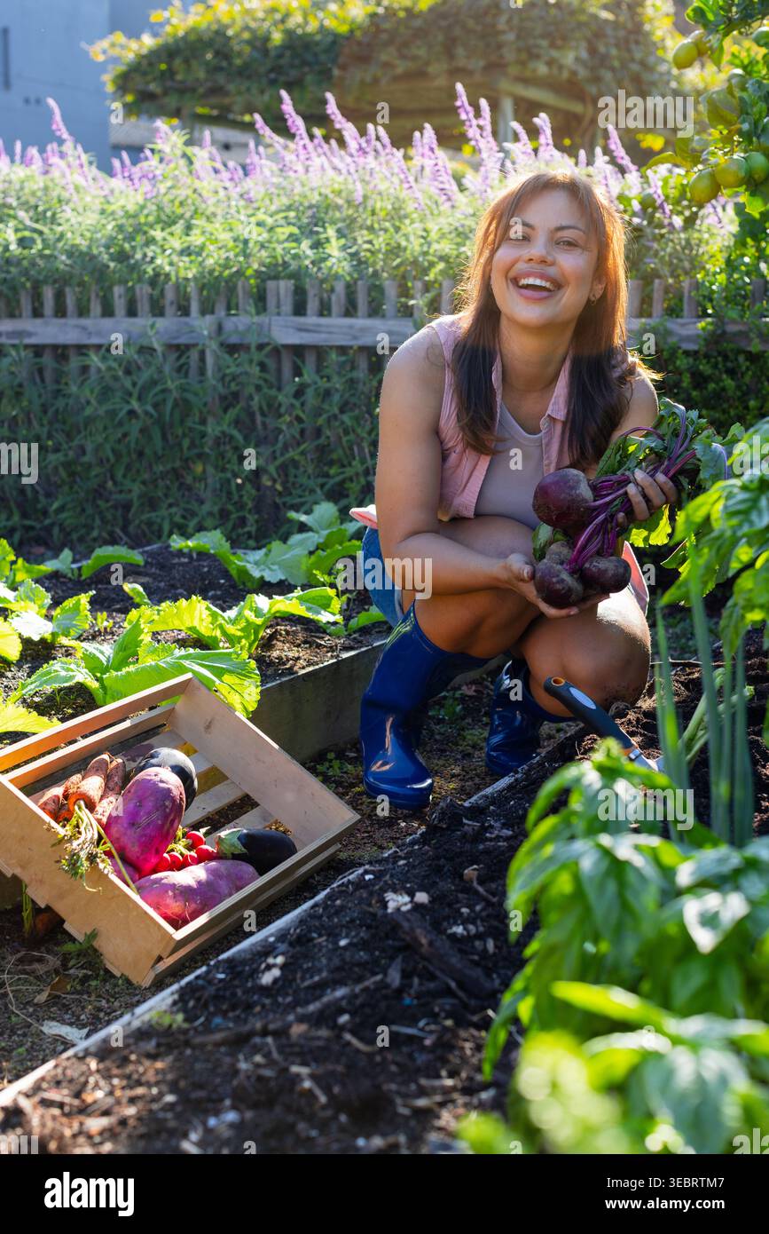 Afrikanische Frau, die sich im Garten hockt, Rote Bete erntet, einen Haufen in der Nähe einer Holzkiste hält Stockfoto