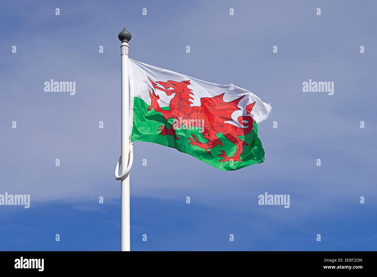 Walisische Flagge, Mumbles Head, Gower Peninsula, Swansea Bay, Wales, Großbritannien Stockfoto