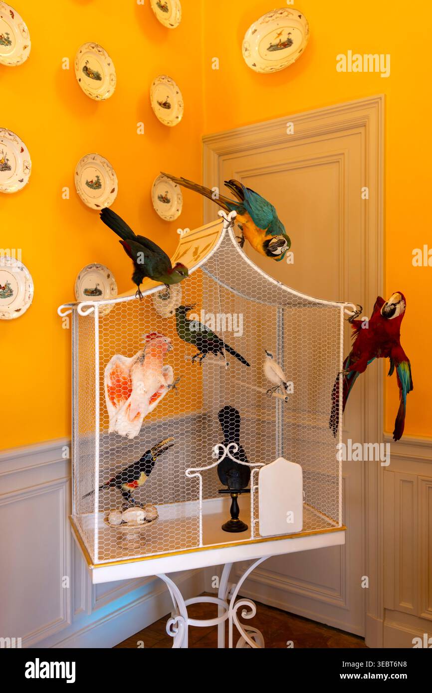 Frankreich, Saint-Jean-Cap-Ferrat, Villa et Jardins Ephrussi de Rothschild, ein Vogelkäfig mit tropischen Vögeln Stockfoto