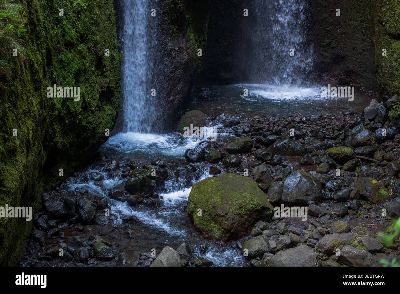 Zwei schlanke Wasserfälle ergießen sich in ein felsiges Becken auf Madeira, Bäche schlängeln sich zwischen runden Felsbrocken in einer Schlucht aus Lorbeerwald, weiches, kühles Licht und langes Ex Stockfoto