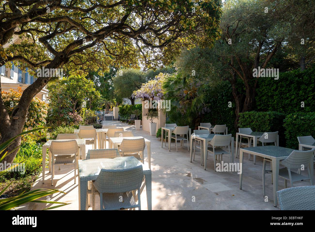 Gartenterrasse unter Bäumen in einem Boutique-Hotel in Antibes Stockfoto
