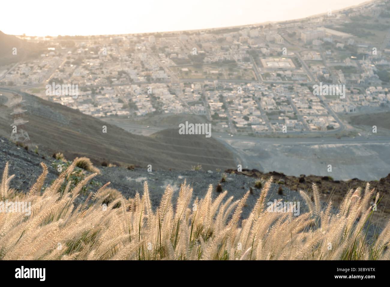 Gras im Vordergrund mit Blick auf Stadt und Berge in der malerischen Landschaft der Vereinigten Arabischen Emirate Stockfoto