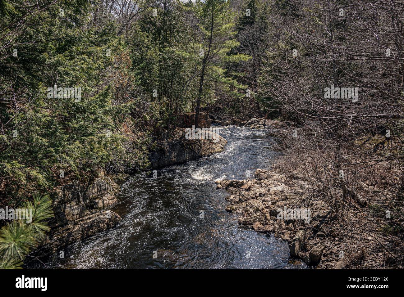 Im Frühjahr fließt ein sich windender Fluss durch eine felsige Waldlandschaft in Maine, USA. Stockfoto