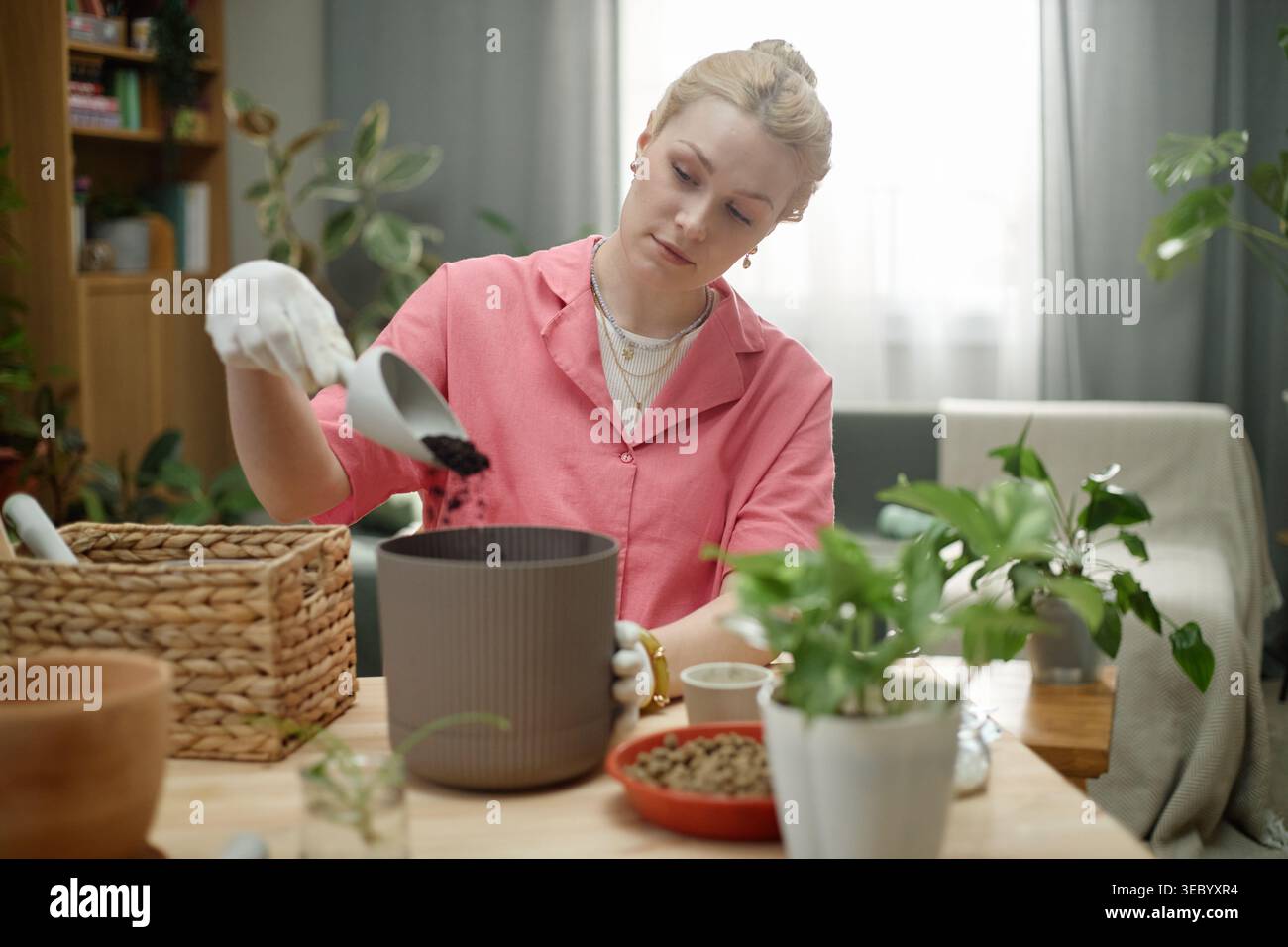 Erwachsene Frau, die Zimmerpflanzen für Home Gardening Hobby umtopft Stockfoto