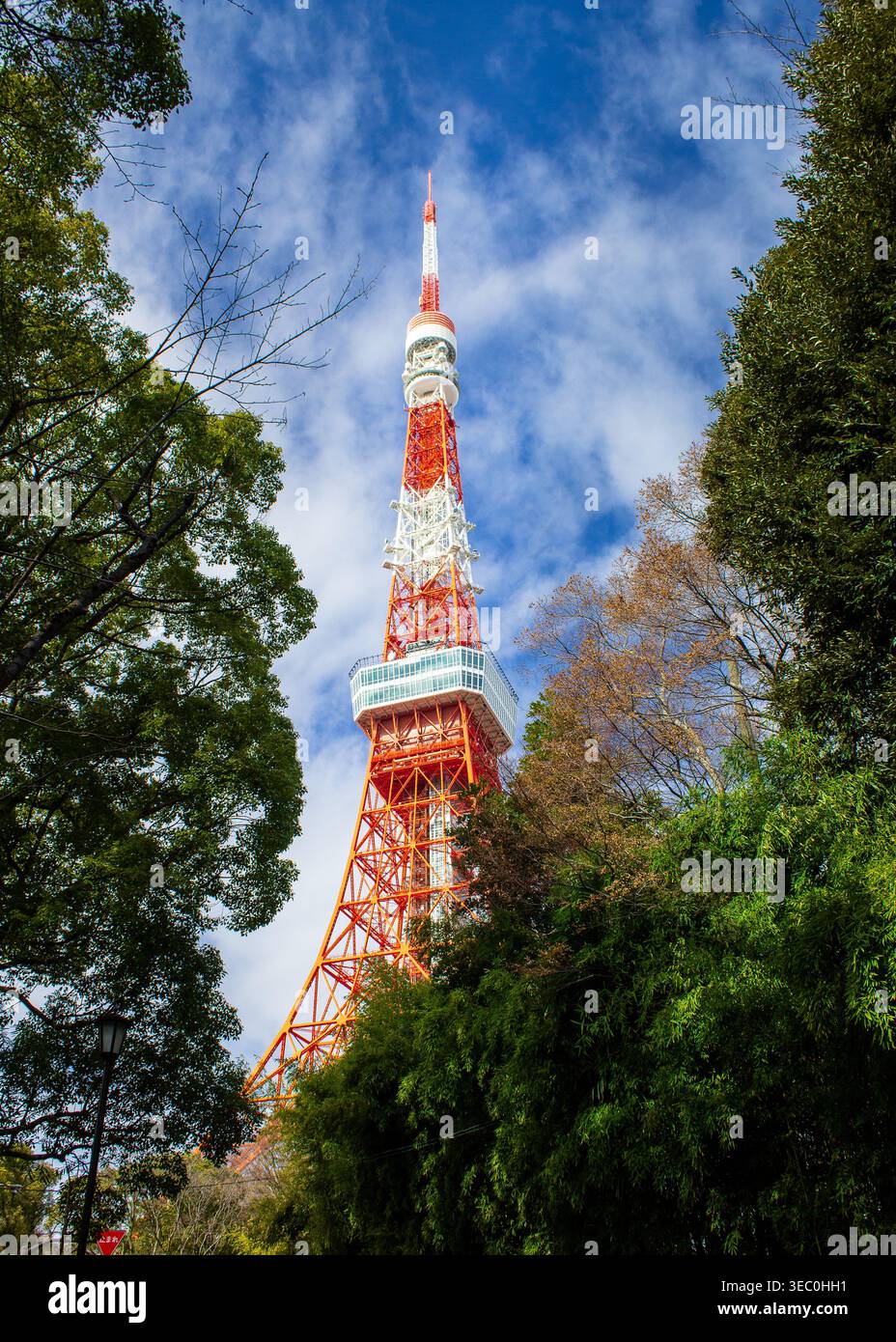 Der Tokyo Tower, der rot-weiße Kommunikationsturm mit Gitter und Aussichtsturm, der durch das üppige grüne Frühlingsgrün gesehen wird. Stockfoto