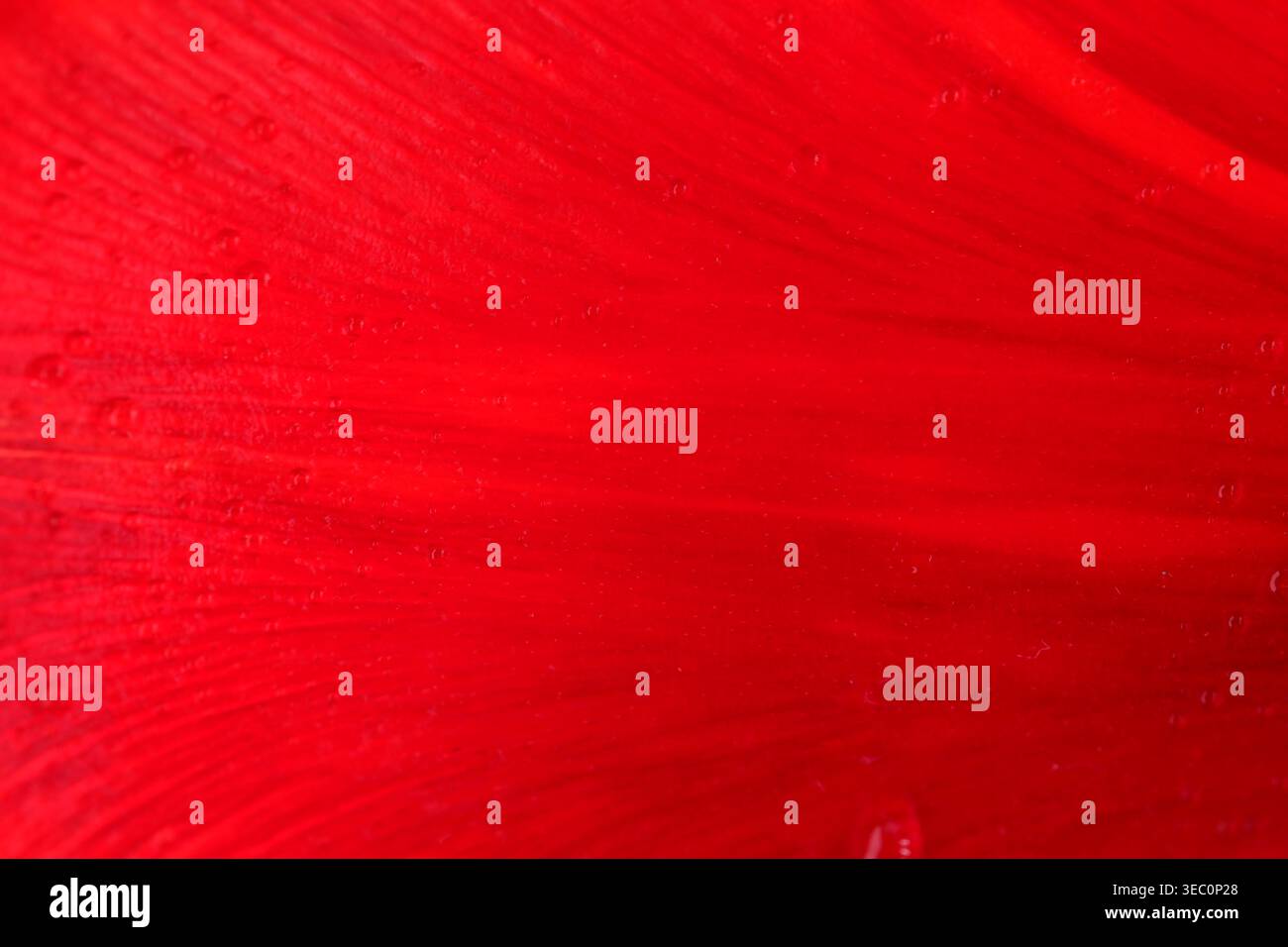 Kräftige, leuchtend rote Striche verschmelzen in einer atemberaubenden Kunstausstellung. Stockfoto