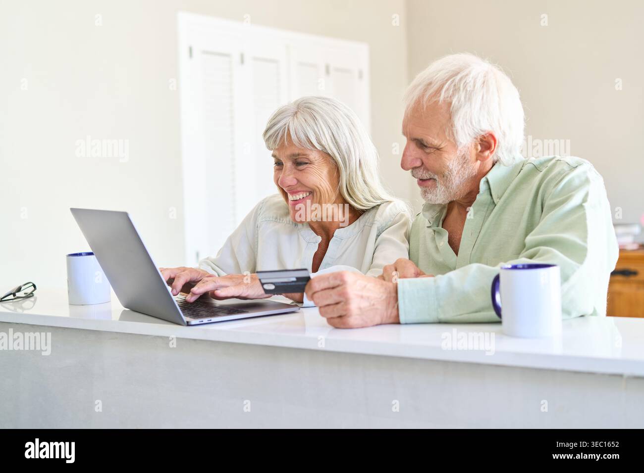 Online-Shopping für Seniorenpaare für Altersvorsorge und finanziellen Schutz Schlüsselkonzepte sind Senior, Altersvorsorge, finanzielle Absicherung, Stockfoto