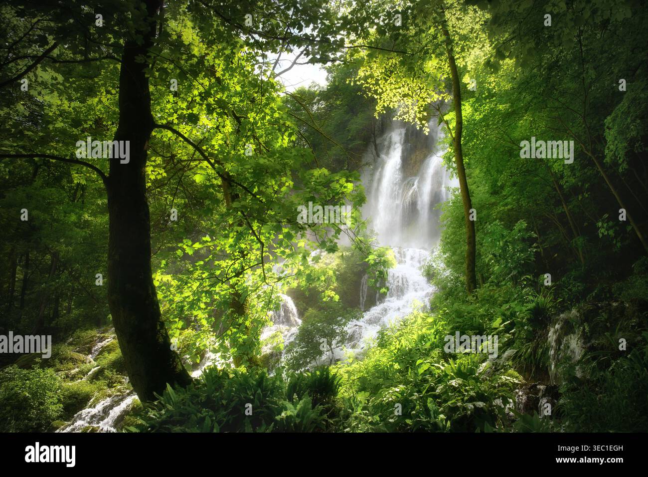 Wunderschöner Wasserfall mit grünen, üppigen Bäumen im angenehmen Sonnenlicht. Waldlandschaft voller Frische in majestätischer Natur. Stockfoto
