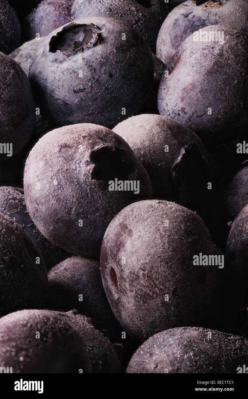 Moody-Makro von Heidelbeeren mit geringer Schärfentiefe, dunkler ästhetischer Lebensmittelhintergrund Stockfoto