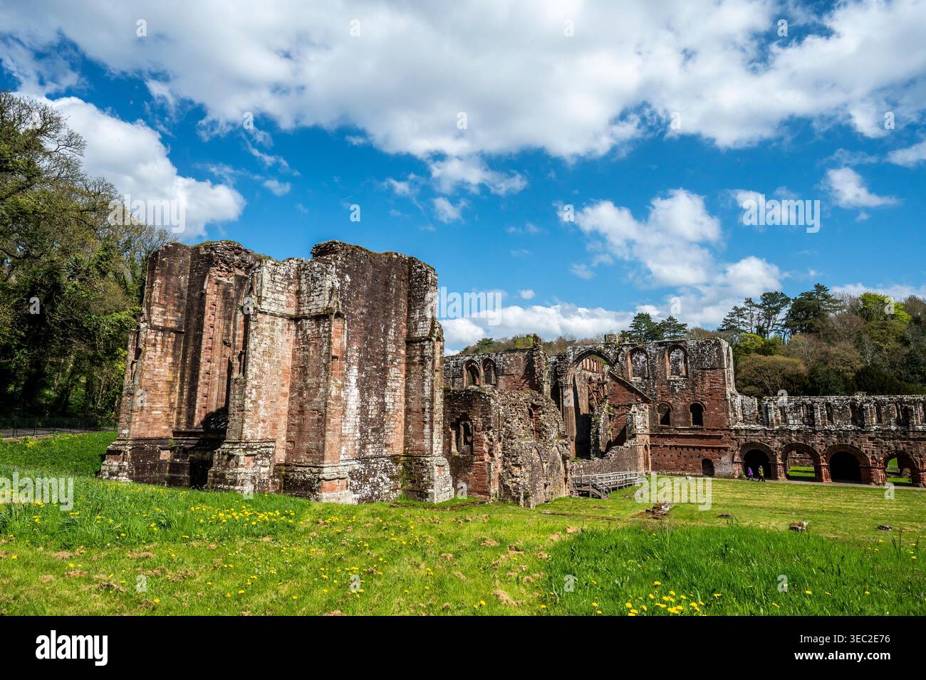 Diese Bilder zeigen die berühmten Ruinen des Zisterzienserklosters Furness Abbey aus dem 11. Jahrhundert, das sich auf der Halbinsel Furness in der Irischen See befindet. Stockfoto