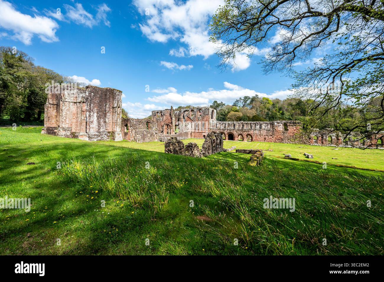 Diese Bilder zeigen die berühmten Ruinen des Zisterzienserklosters Furness Abbey aus dem 11. Jahrhundert, das sich auf der Halbinsel Furness in der Irischen See befindet. Stockfoto