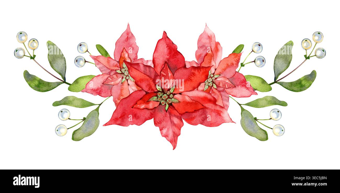 Wunderschöne Aquarellkomposition mit roten Weihnachtsstern, grünen Blättern und zarten weißen Beeren. Handgezeichnetes Blumenarrangement Stockfoto