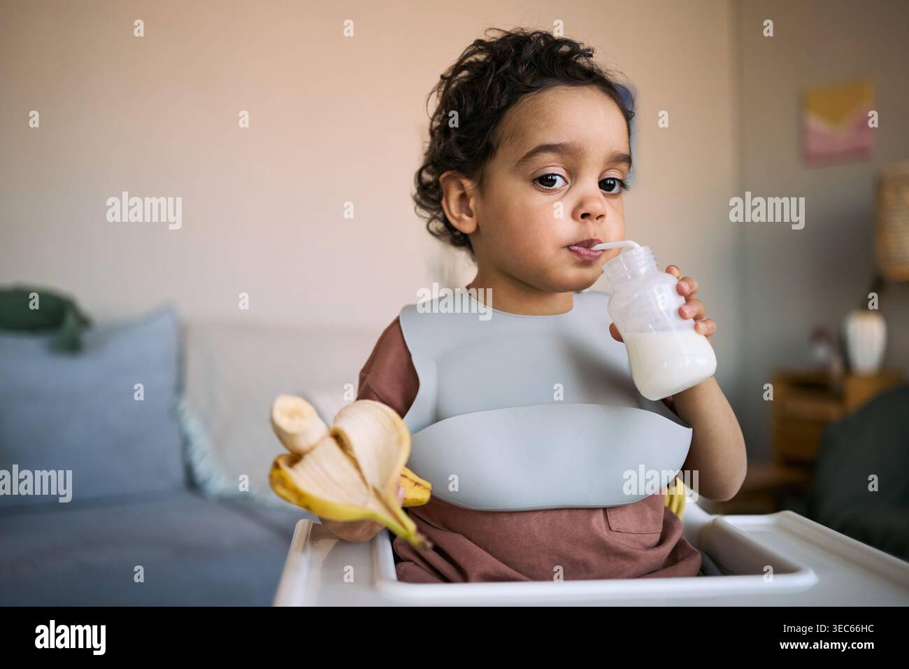 Porträt eines Kleinkindes, das Milch aus der Flasche trinkt, während er Banane im Hochstuhl hält, zeigt Selbstfütterung Stockfoto