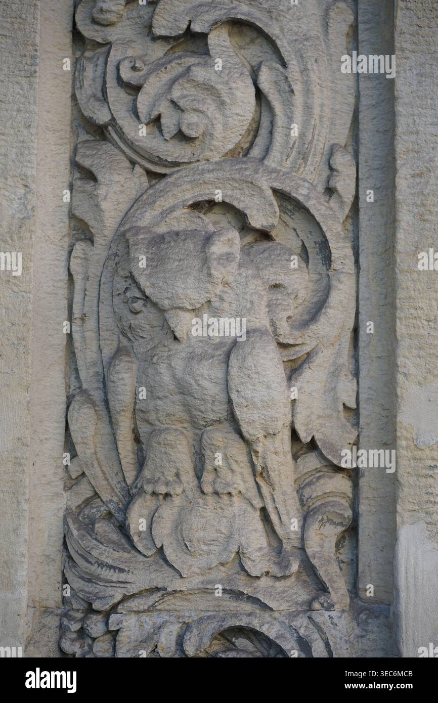 Nahaufnahme eines Jugendstilreliefs einer Eule unter floralen Ornamenten, historisches Fassadendetail in der Albrechtstraße, Berlin-Steglitz, Deutschland. Stockfoto