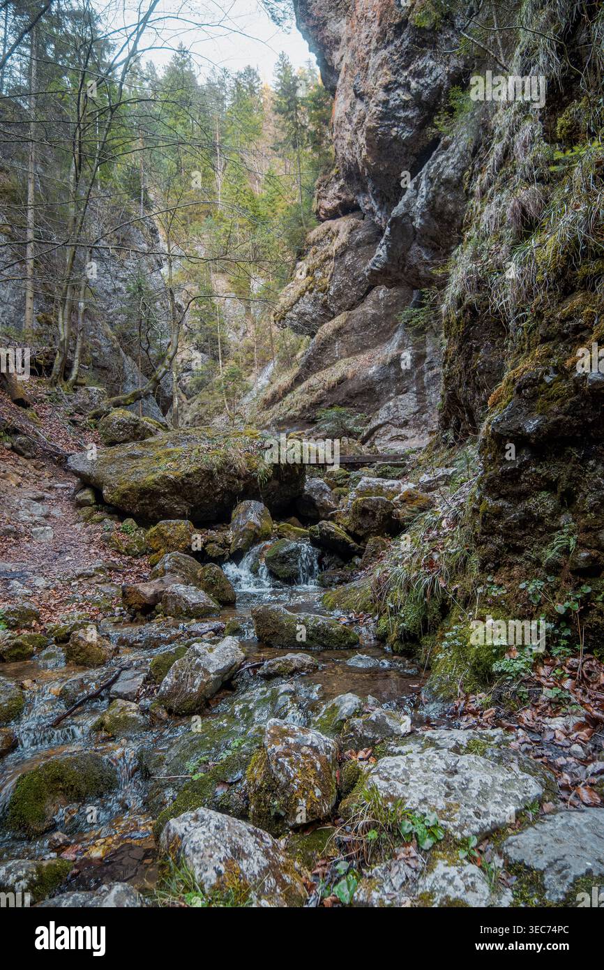 Ruhiger Bach Windet Sich Durch Den Engen Canyon Mit Moosbedeckten Steinen Und Hoch Aufragenden Kalksteinmauern Stockfoto