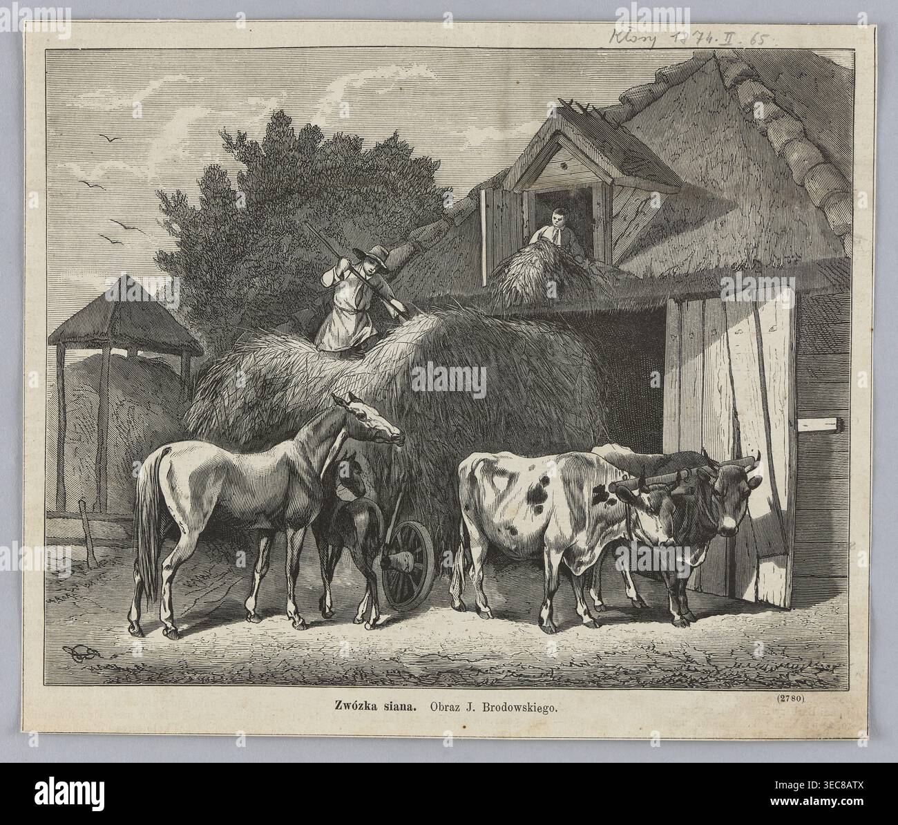 Reproduktion eines Gemäldes: Józef Brodowski 1828–1900, Hay Cart, 1874; Gemälde; polnische Malerei; Reproduktion; Grafik; Illustration der Presse; Thema: Pferde, Ochsen, Jochtochsen, Dörfer., Eine graue ländliche Szene zeigt eine Gruppe von Tieren und Menschen um einen großen Heuhaufen vor einem reetgedeckten Gebäude. Ein Pferd und ein Fohlen stehen neben einem Holzwagen, der teilweise vom Heu verborgen ist, und ein Paar Ochsen, die zusammen gejocht sind, stehen neben einer weit geöffneten Holztür. Zwei Figuren arbeiten mit dem Heu: Eine Person steht mit einer Heugabel auf dem Stapel, während sich eine andere aus einer kleinen Heuöffnung beugt Stockfoto