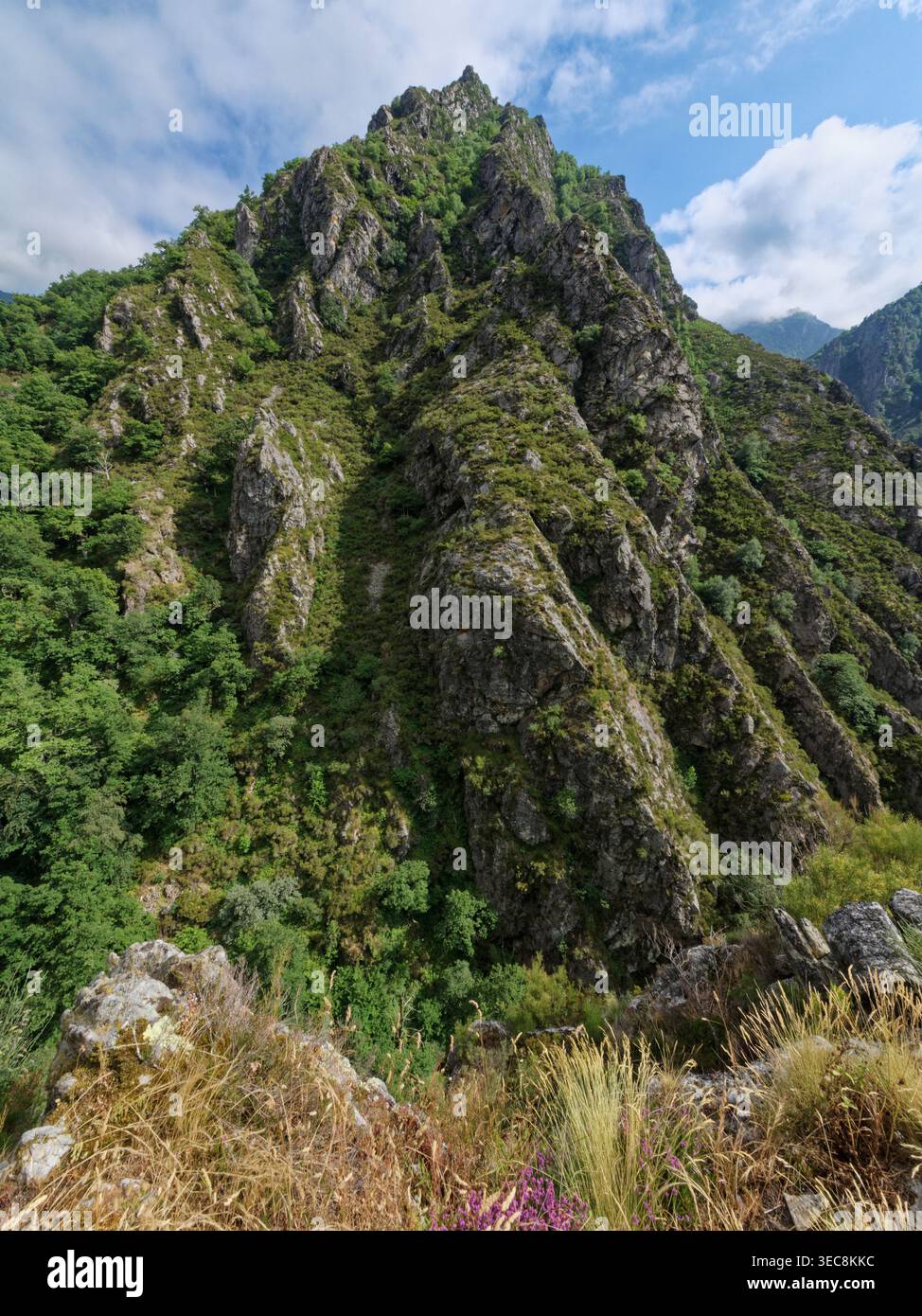 Blick auf die Pica de Ten, einen stark zerklüfteten Kalkstein Gipfel, von Mirador de Oseja de Sajambre, Picos de Europa, Kastilien und Leon, Spanien. Stockfoto