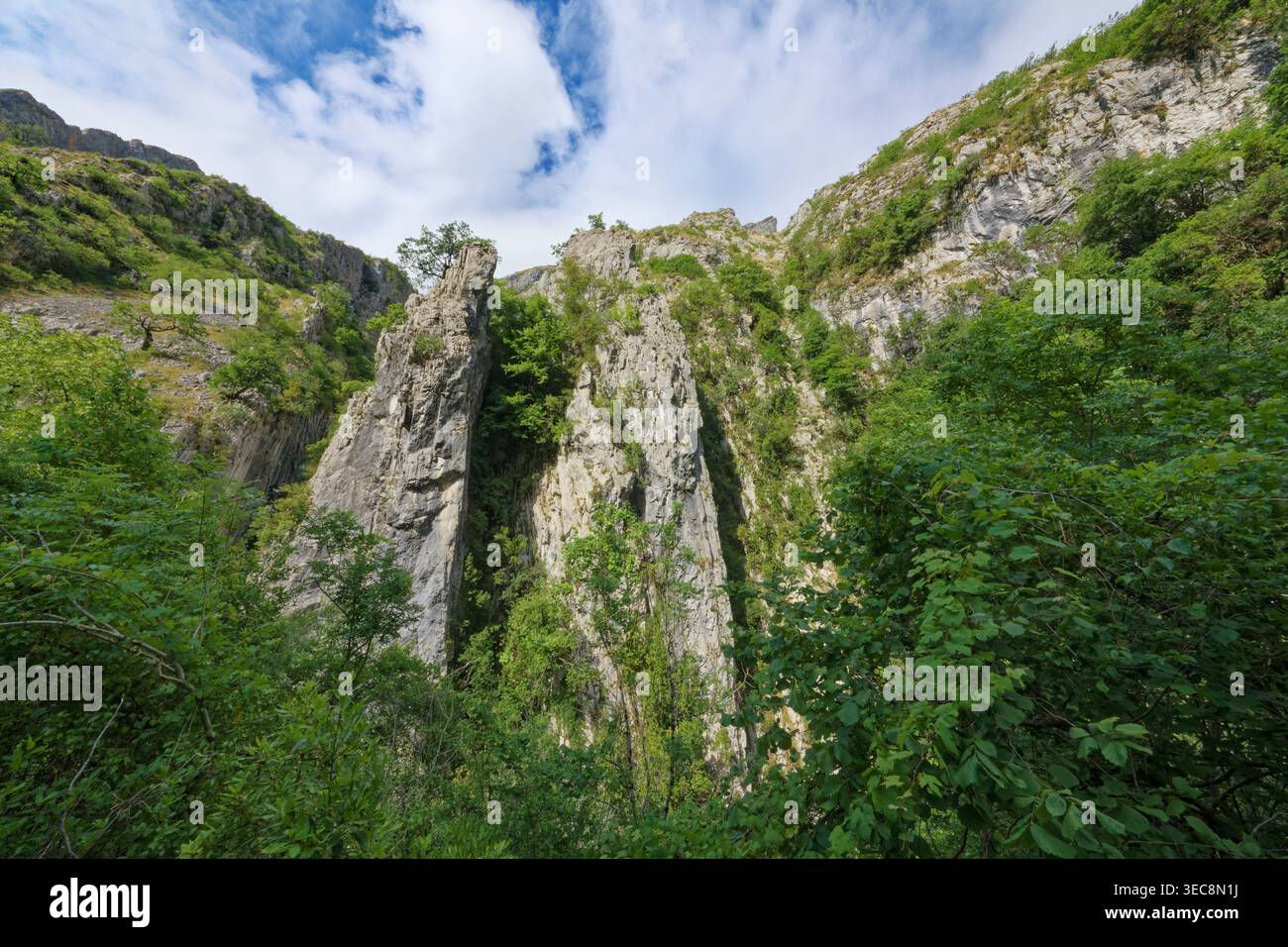 Schiere Kalksteinwand in der Nähe von Oseja de Sajambre, Picos de Europa, Kastilien und Leon, Spanien, Juni 2025. Stockfoto
