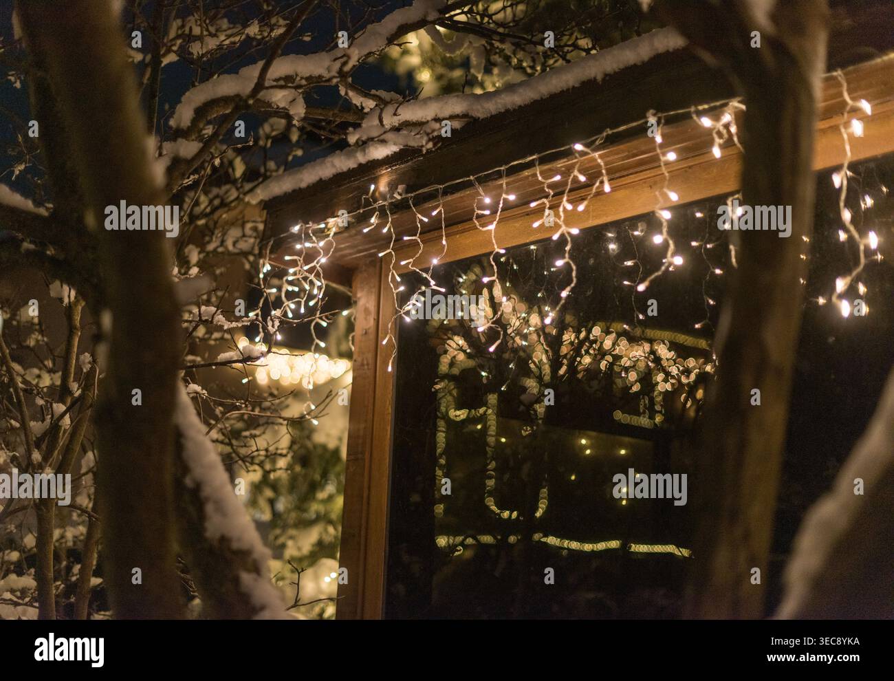 Stimmungsvolle Winternächteszene mit beleuchtetem Fenster und sanften Lichtern, umrahmt von verschneiten Büschen und Baumstämmen. Geringe Tiefe von f Stockfoto