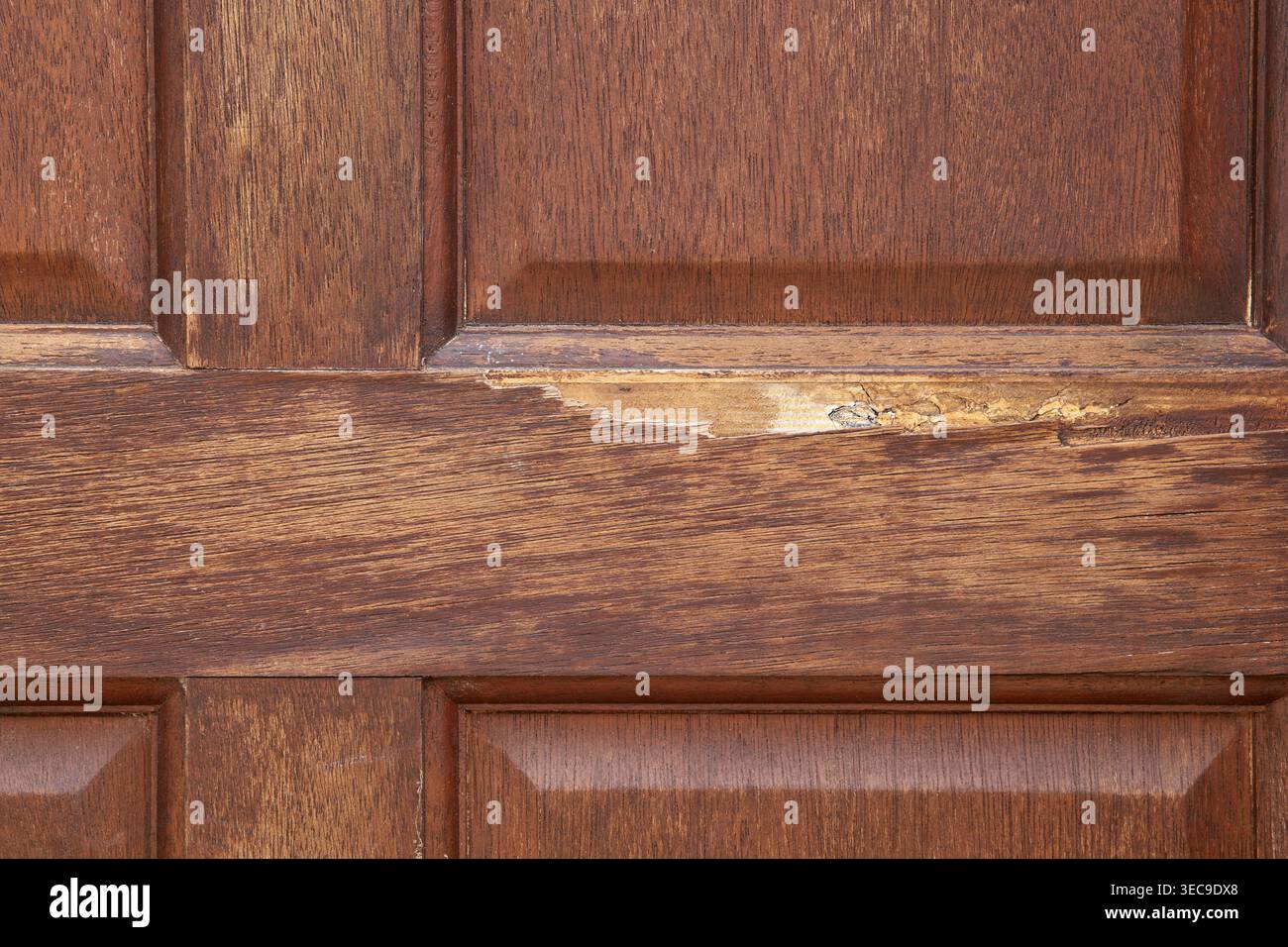 Nahaufnahme einer dunkelbraunen Holztürverkleidung mit Kratzer- und Splitterschäden, Vollrahmen-Hausreparatur und Sachschäden Stockfoto