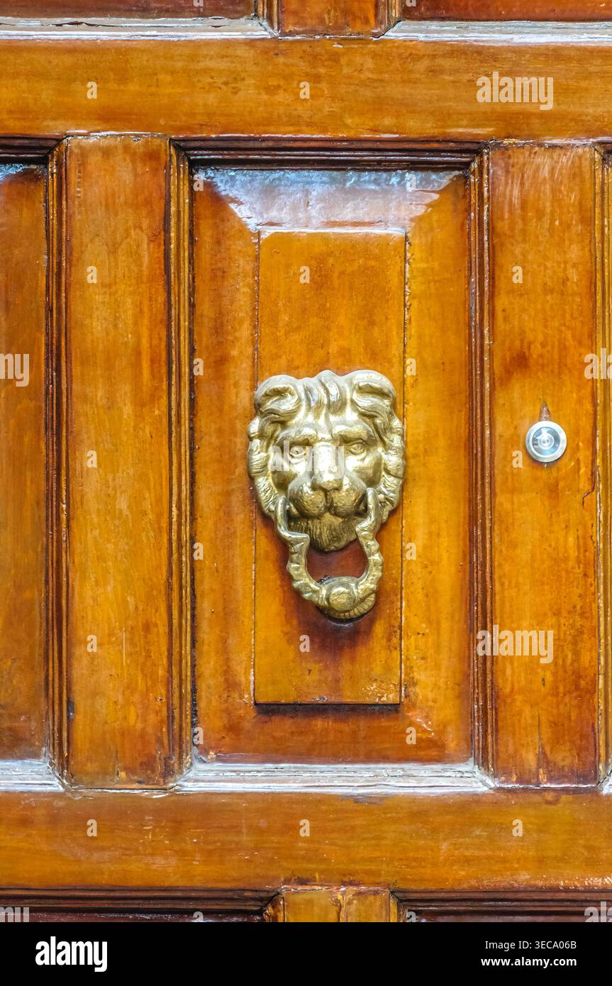 Primer plano detallado de un picaporte de latón dorado con forma de Cabeza de León ornamentada, montado en una puerta de madera maciza de Roble antigu Stockfoto