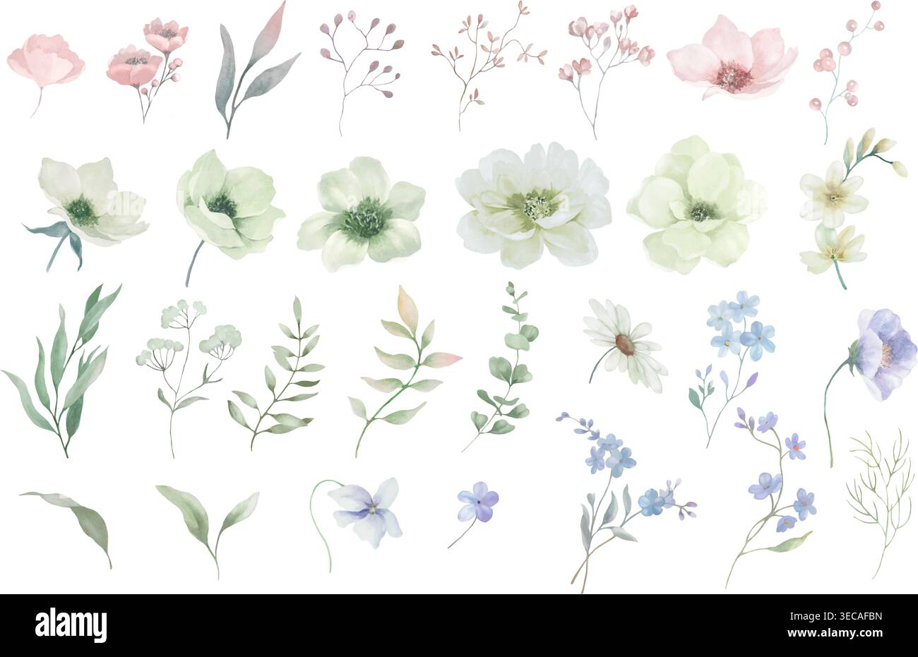 Aquarellblumen mit weißen Anemonen, rosa Blüten, blauen Wildblumen. Sammlung handgezeichneter botanischer Elemente isoliert auf weiß. Vektor-EPS. Stock Vektor