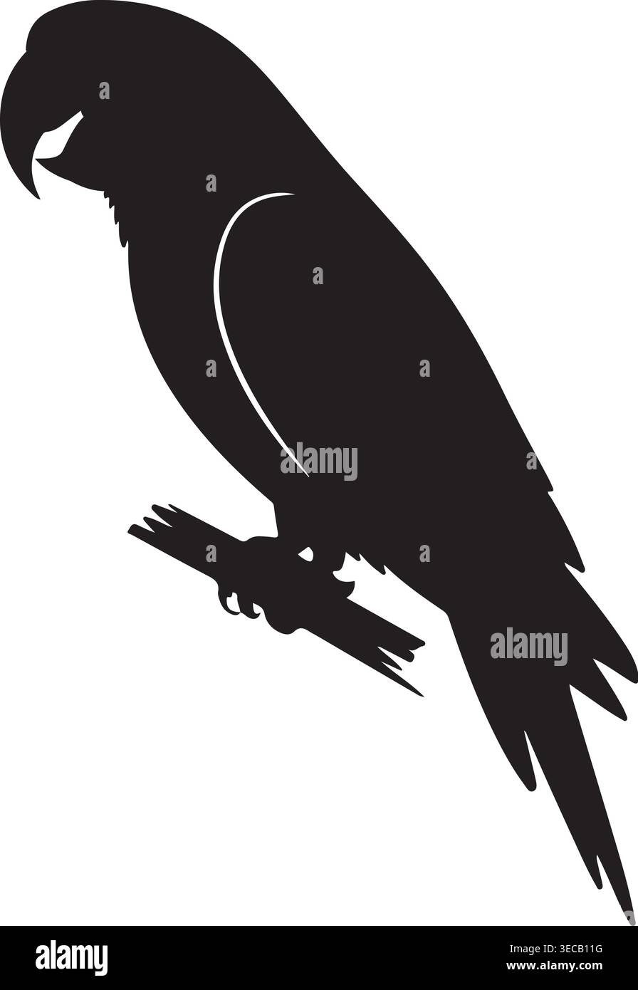 Auffällige schwarze Silhouette eines Papageienvogels auf einem Ast, dargestellt in einem minimalistischen Vektorstil. Ideal für Natur, Tierwelt, exotische Tiere und. Stock Vektor