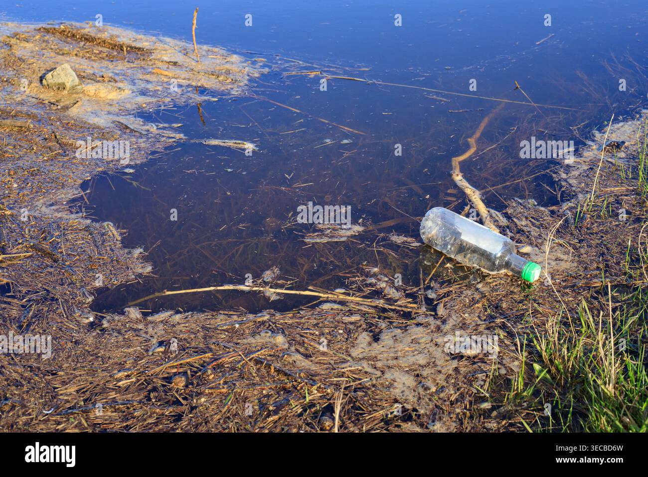 Plastikflasche in flachem Flusswasser in der Nähe des Ufers. Konzeptionelle Darstellung von Umweltthemen, Umweltverschmutzung und Wasserverschmutzung. Stockfoto