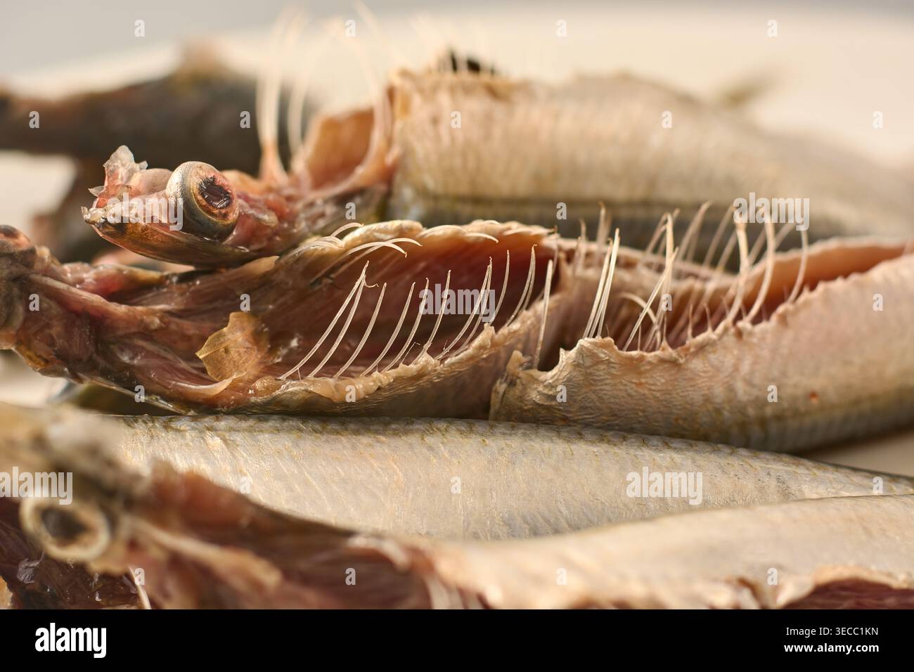 Getrockneter gesalzener kleiner Fisch mit Rippenknochen und Silberschuppen, Seitenansicht mit weichem Fokus, asiatisches kulinarisches Zutatenkonzept Stockfoto
