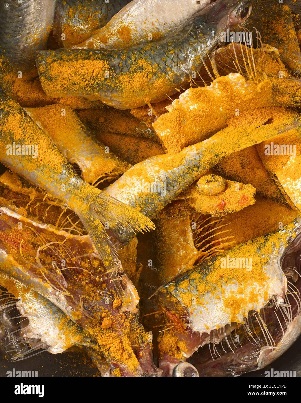 Roher kleiner Fisch, beschichtet mit gelbem Kurkumapulver, detaillierte Schuppen und Knochen von gereinigtem Fisch, Draufsicht im Vollformat, traditionelles Kochkonzept Stockfoto