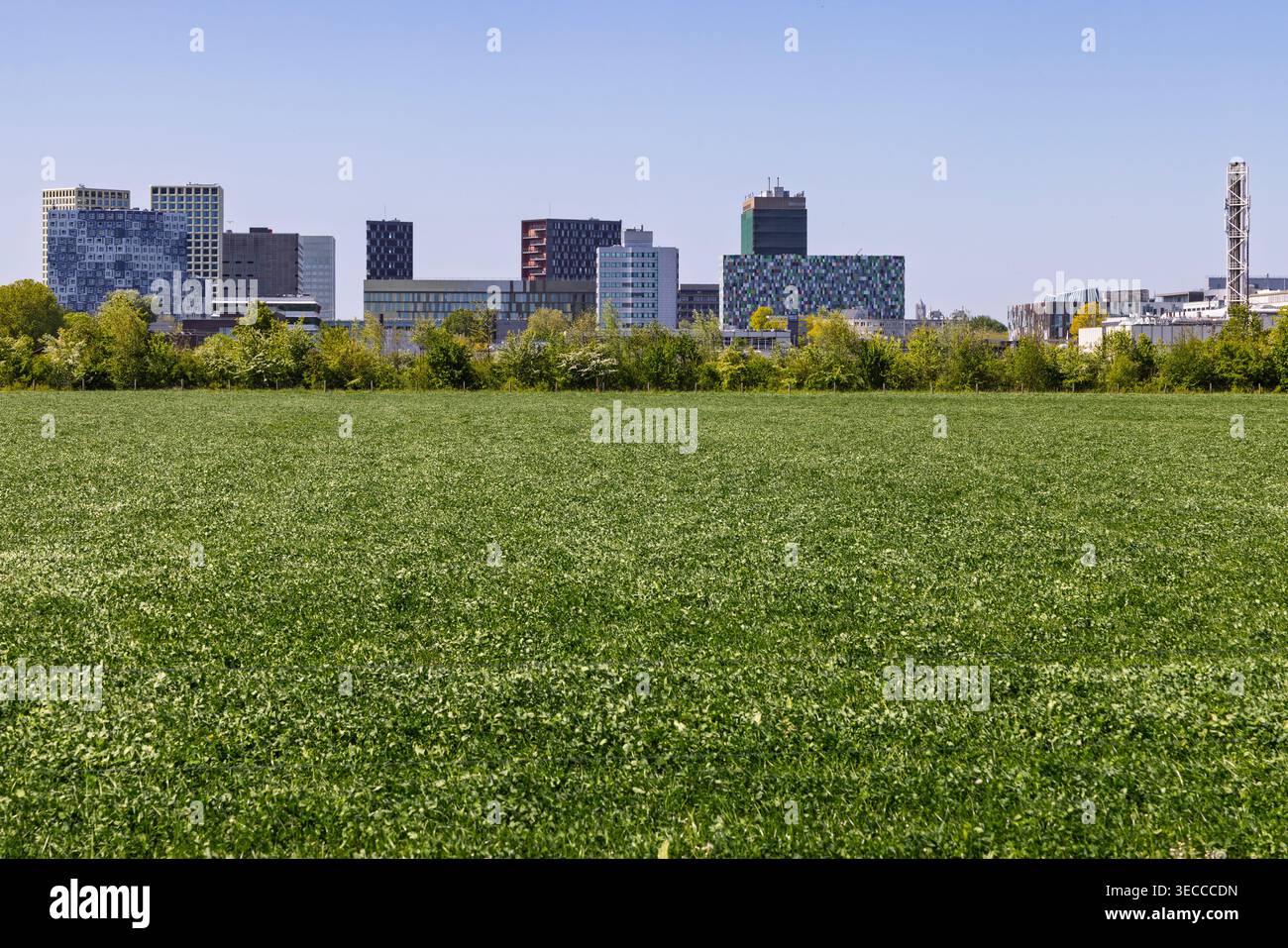 Utrecht, Niederlande, 28. April 2026 - Panoramablick auf die moderne architektonische Skyline des Campus des Utrecht Science Park von einer grünen Wiese. Stockfoto