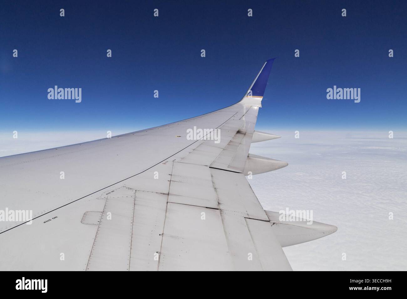 Blick von einem Flugzeugfenster aus auf einen Boeing 737 Flügel und Winglet, der über einer dicken Schicht weißer Wolken unter einem klaren blauen Himmel fliegt Stockfoto