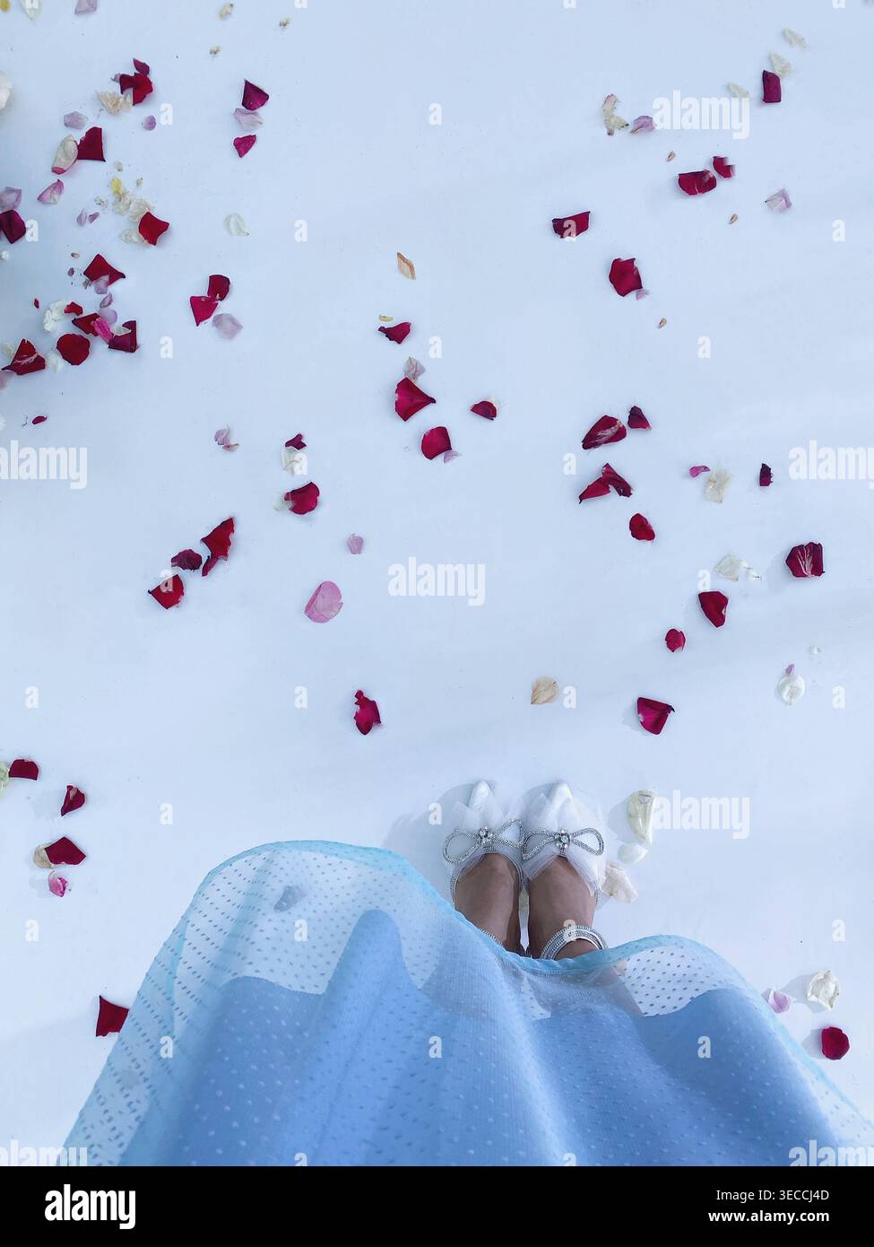 Frau im Kleid, die auf weißem Boden steht, mit Blütenblättern, sanftem Licht, romantischer Ästhetik - Smartphone-aufgenommenes Stockfoto