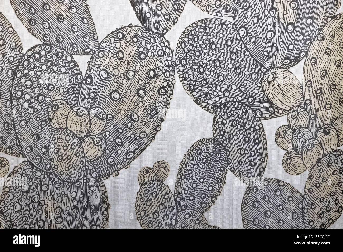Botanischer Hintergrund mit gedämpftem Feigenkaktus-Muster Stockfoto