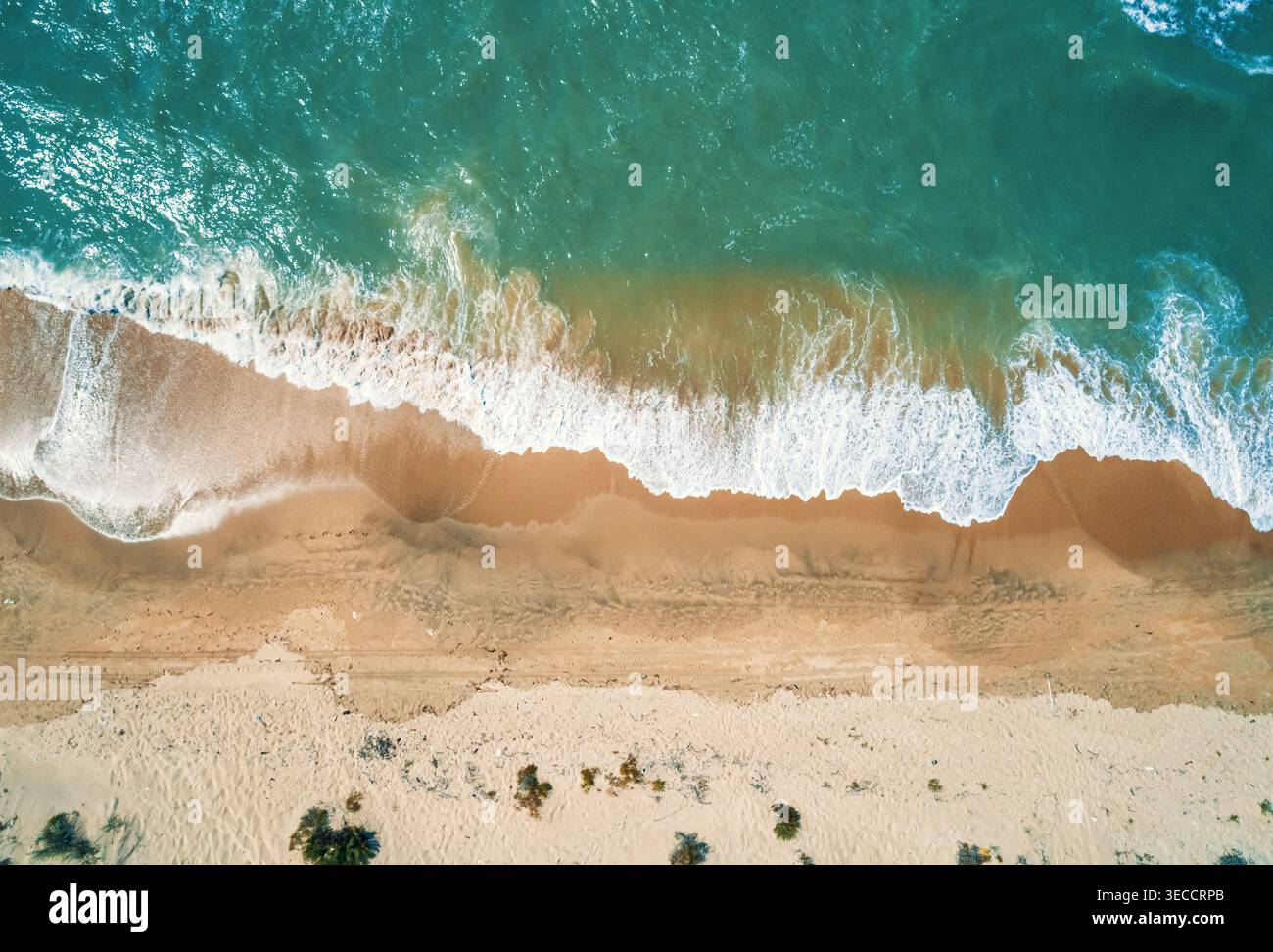 Aus der Vogelperspektive sehen Sie lebendiges grünes Meereswasser mit weißen Schaumwellen, die auf einen braunen Sandstrand stürzen. Stockfoto