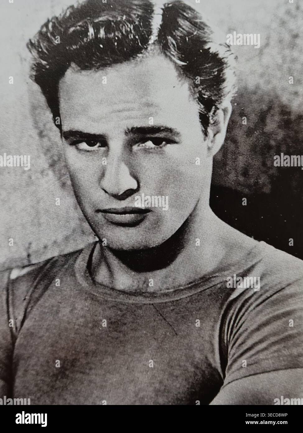 Marlon Brando. Amerikanischer Schauspieler. Stockfoto