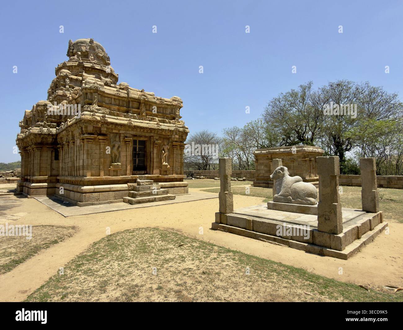 Antike Steintempel und Statue in sonniger Landschaft, Vijayalaya Choleeswaram Tempel, Tamil Nadu, Indien Stockfoto