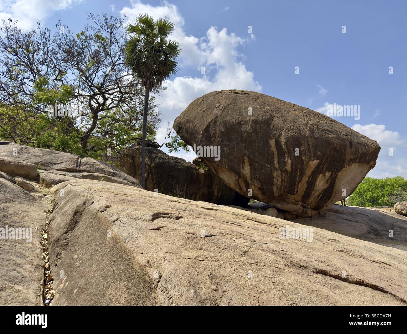 Großer Felsen und Palmen unter blauem Himmel mit Wolken in einer natürlichen Umgebung, Thirumayam Fort, Thirumayam, Tamil Nadu, Indien Stockfoto